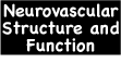 Neurovascular_Imaging_and_Reconstruction